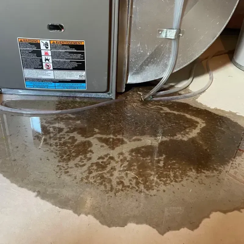 Appliance Leak Cleanup in La Palma, CA